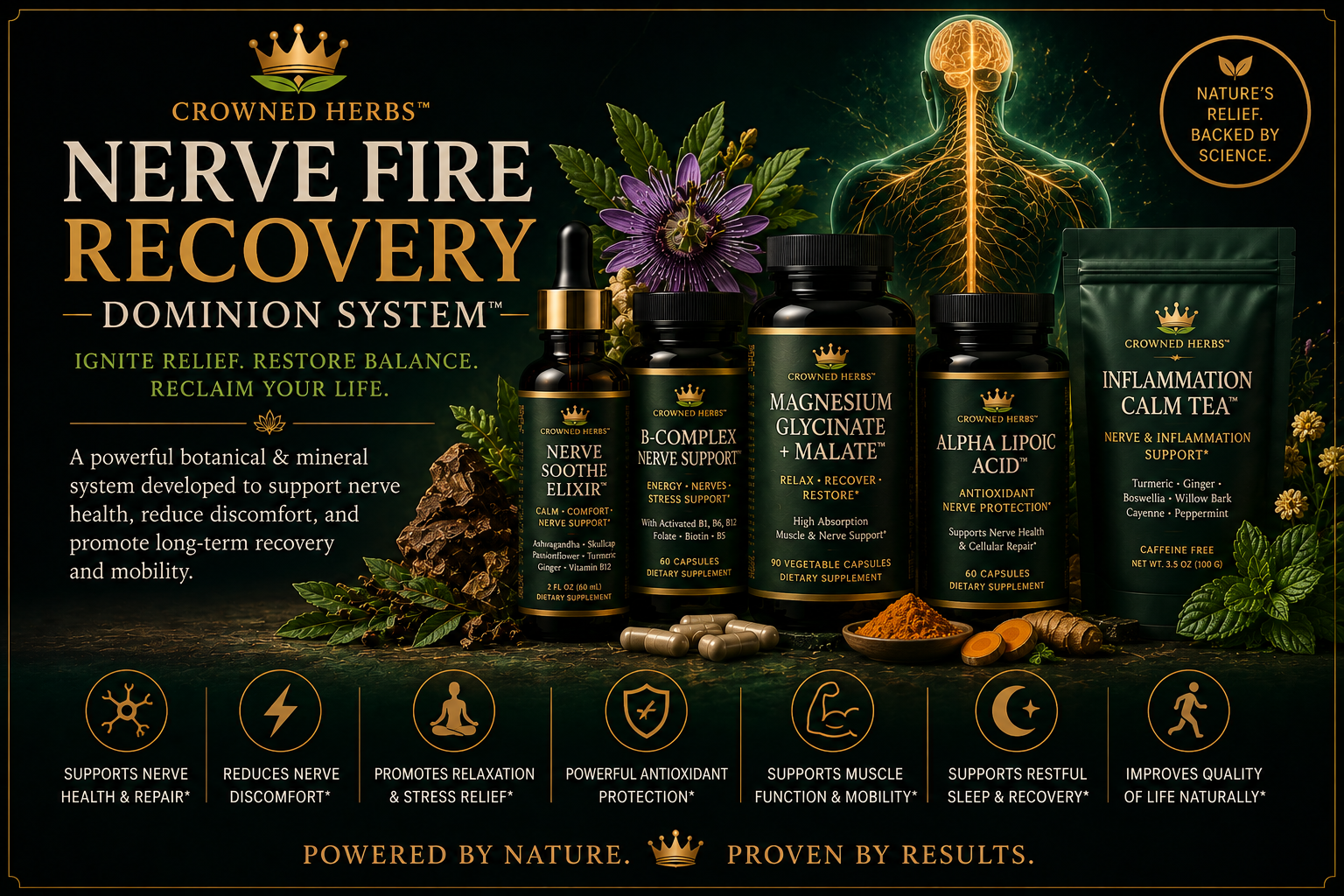 Nerve Fire Recovery Dominion System™