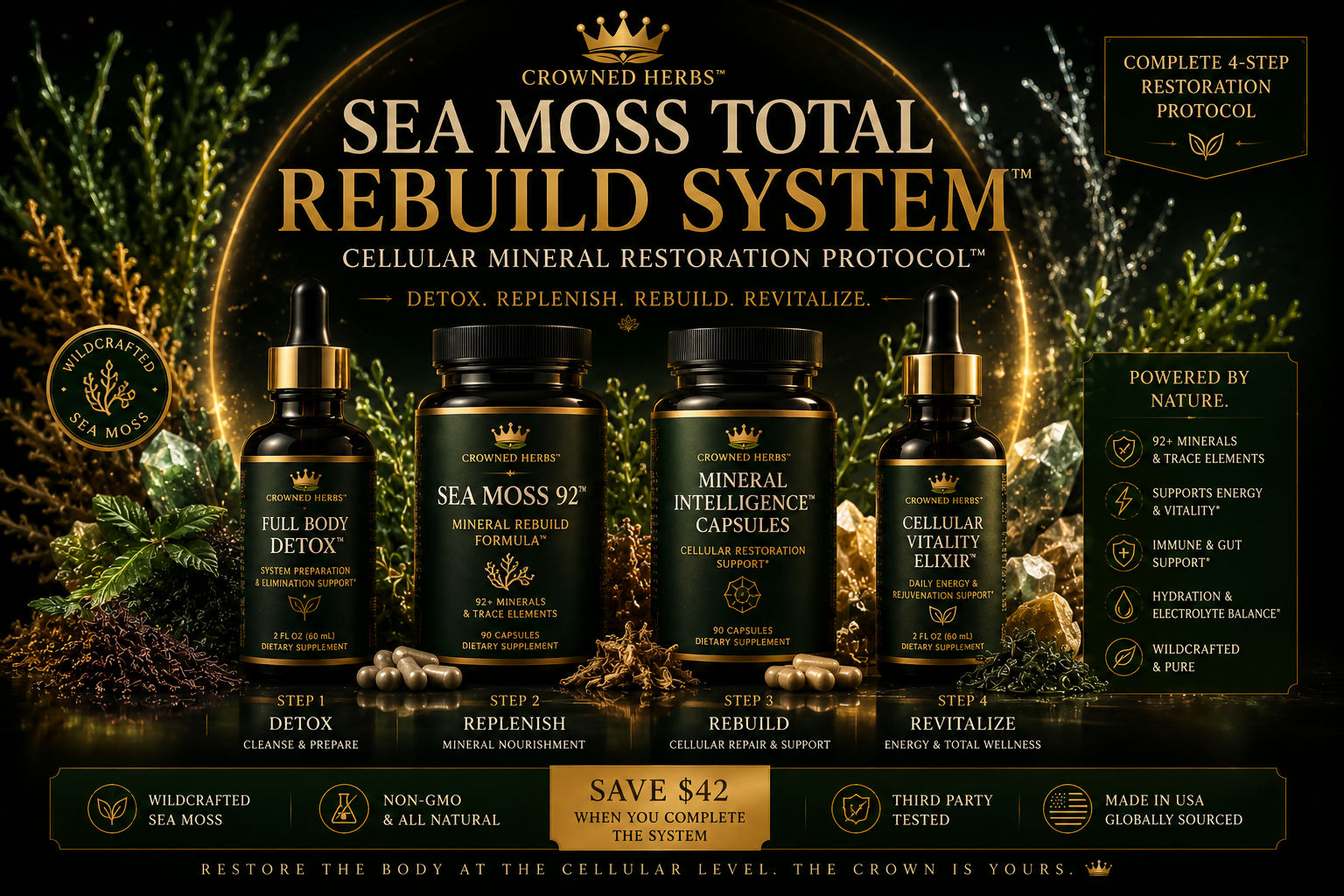 Sea Moss Total Rebuild System™