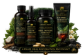 4-Phase Oral Restoration Protocol™